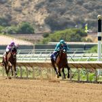 2026 Del Mar Futurity at a Glance